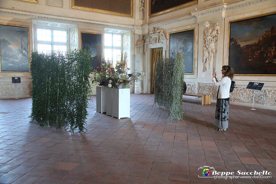 VBS_0157 - Corollaria Flower Exhibition 2022.jpg